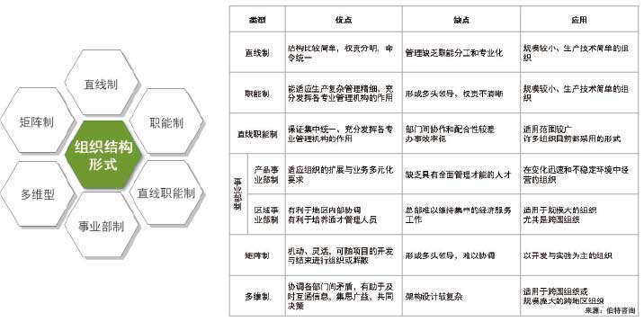 组织架构