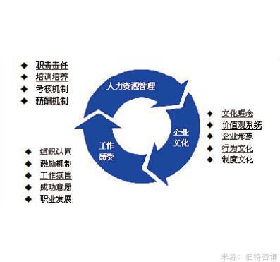 年度综合员工调研与组织诊断